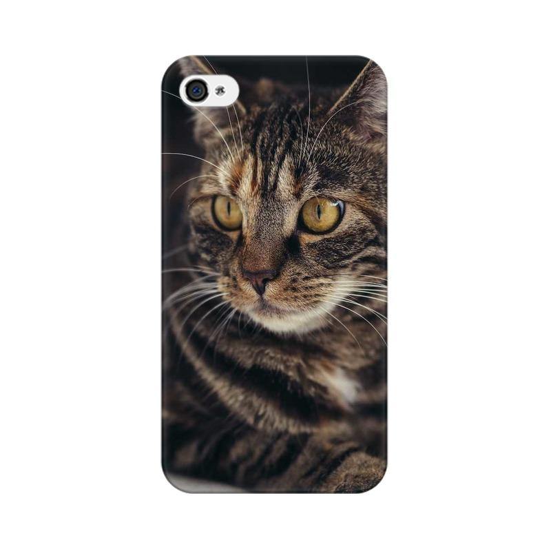 Mister Fab Cat Apple iPhone Mobile Covers - Mister Fab