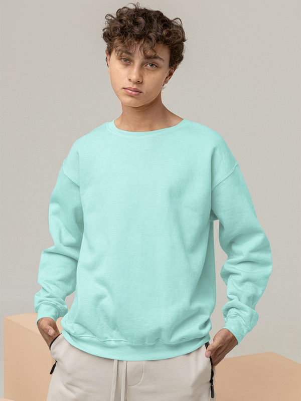 Mister Fab Premium Mint Cotton Sweatshirt